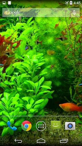 Real Aquarium 3D Wallpaper screenshot 1