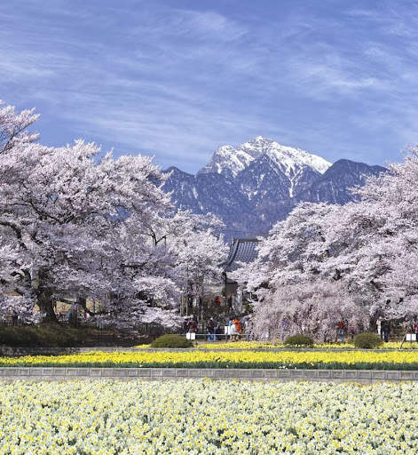 Beautiful Garden Wallpaper screenshot 10