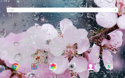 Rainy Flowers Live Wallpaper screenshot 9
