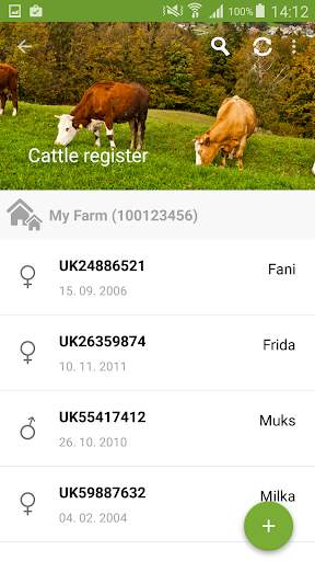 FA Mobile screenshot 2