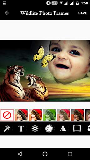 Wildlife Photo Frame screenshot 4
