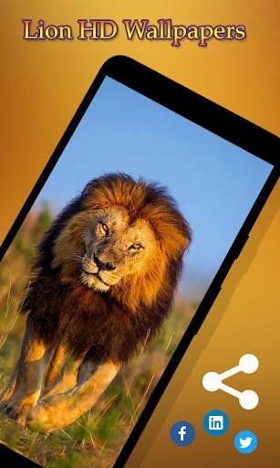 Lion Wallpapers HD 3 تصوير الشاشة