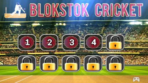 Blokstok Cricket screenshot 12
