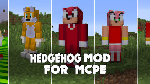 Hedgehog Mod for Minecraft PE screenshot 4