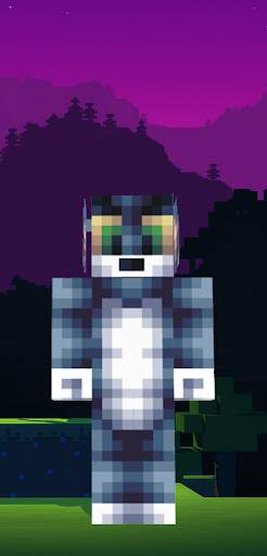 Tom Skins minecraft and Jerry screenshot 2