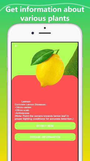 Plant Disease Identification app screenshot 7