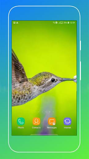 Bird Wallpaper screenshot 3
