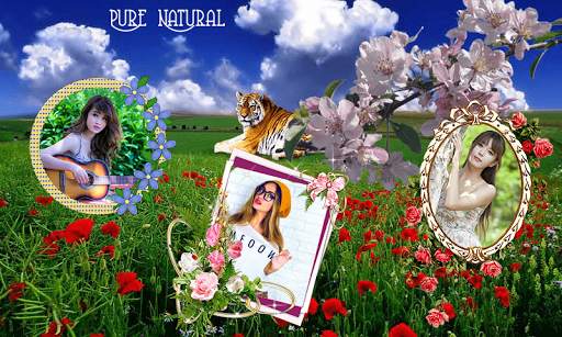 Natural Dual Photo Frame screenshot 5