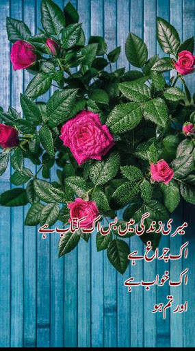 Urdu On Picture - Write Urdu Text on Photo स्क्रीनशॉट 5