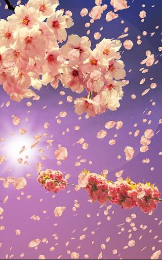 Sakura Live Wallpaper HD screenshot 16