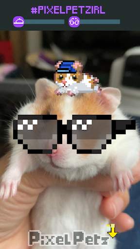 Pixel Petz screenshot 12