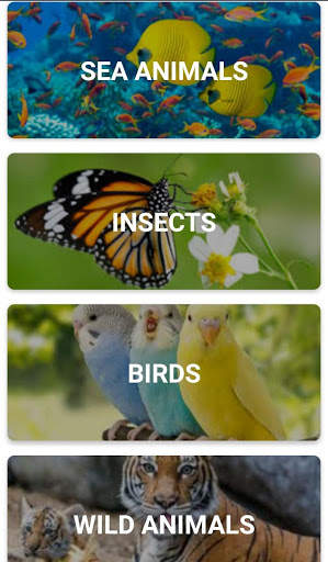 Animal Sounds Learn With Game screenshot 3