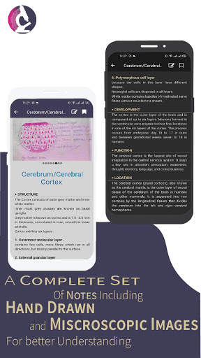 Medicos Histology:Anatomy histology figure & guide screenshot 3
