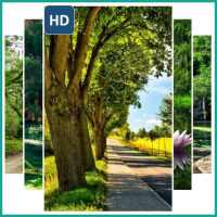 Beautiful Landscape Wallpaper on 9Apps