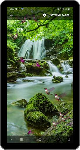 Birds Flying Live Wallpaper screenshot 11