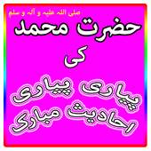 Aik Hazaar Ahadees Nabvi on 9Apps