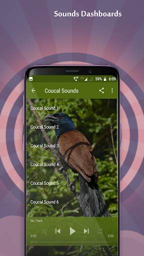 Coucal Sounds screenshot 3