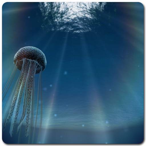 Jellyfish 3D LiveWallpaper 1.3