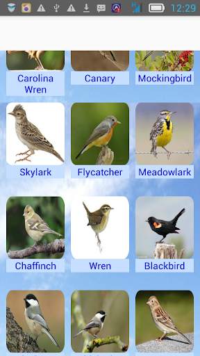 Singing bird स्क्रीनशॉट 2