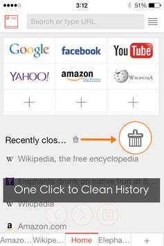 Tomato Browser screenshot 7