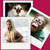 Funny Pics 1.11