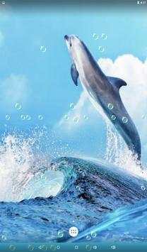 Dolphin Live Wallpaper screenshot 13