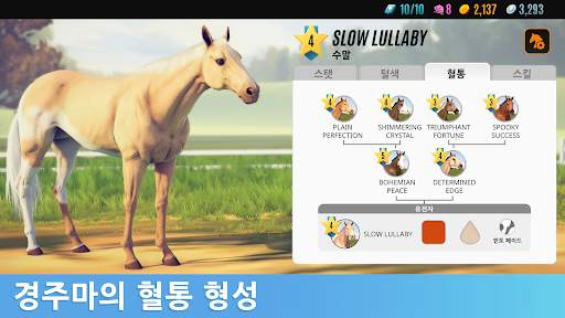 라이벌 스타 경마 screenshot 5