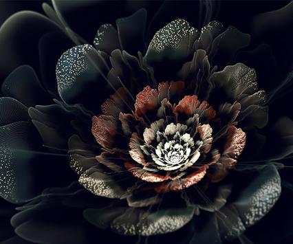 Black Roses Wallpapers screenshot 3