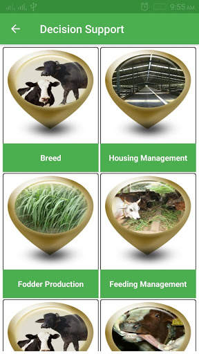 Cattle Expert System screenshot 3