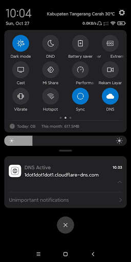 Ayra's DNS - Without VPN (No Root) screenshot 5