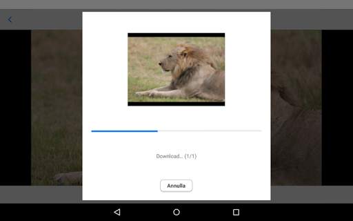 Canon Connect Station screenshot 9