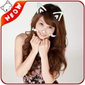 Cat Face Photo Maker 1.4.1