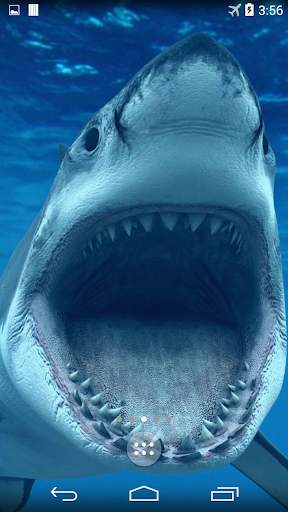 Shark 4K Live Wallpaper screenshot 2