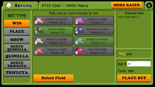 Hooves of Fire - Horse Racing screenshot 3