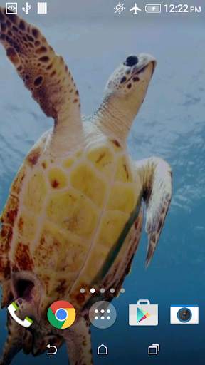 Turtle 3D Live Wallpaper screenshot 4