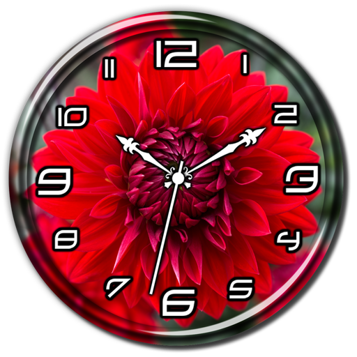 Red Dahlia Clock Live WP أيقونة