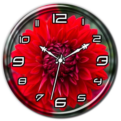 Red Dahlia Clock Live WP 1.0.0
