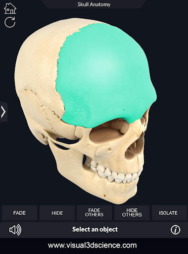 My Skull Anatomy screenshot 12