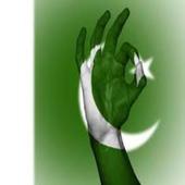 Pakistan Browser 4G icon