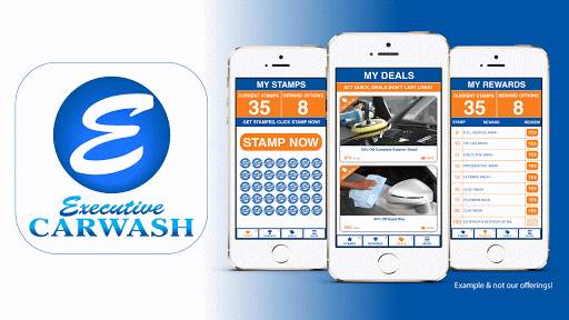 Executive Car Wash screenshot 1