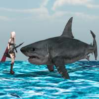 Angry Sharks
