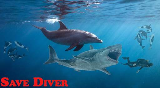 Hungry Dolphin : Dolphin Games screenshot 2