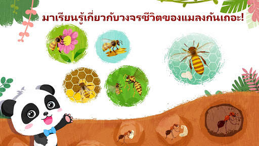แมลงน่าพิศวงของแพนด้าน้อย screenshot 4