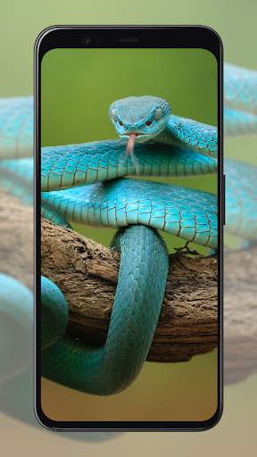 Snake Wallpapers screenshot 3