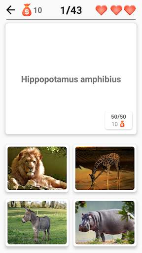 Mammifères - Apprenez tous les animaux dans Quiz! screenshot 5