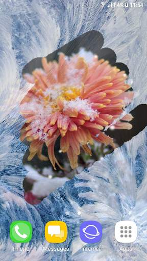 Winter and Autumn Flowers Live Wallpaper screenshot 6