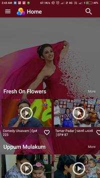 Flowers TV screenshot 2