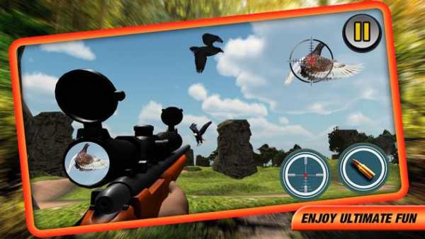 Birds Hunting : Real Birds Shooting 3D screenshot 3
