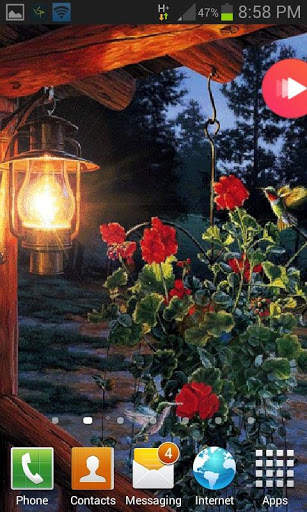 Flowers In Night LWP screenshot 2