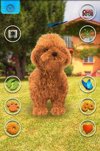 Talking Teddy Dog screenshot 2